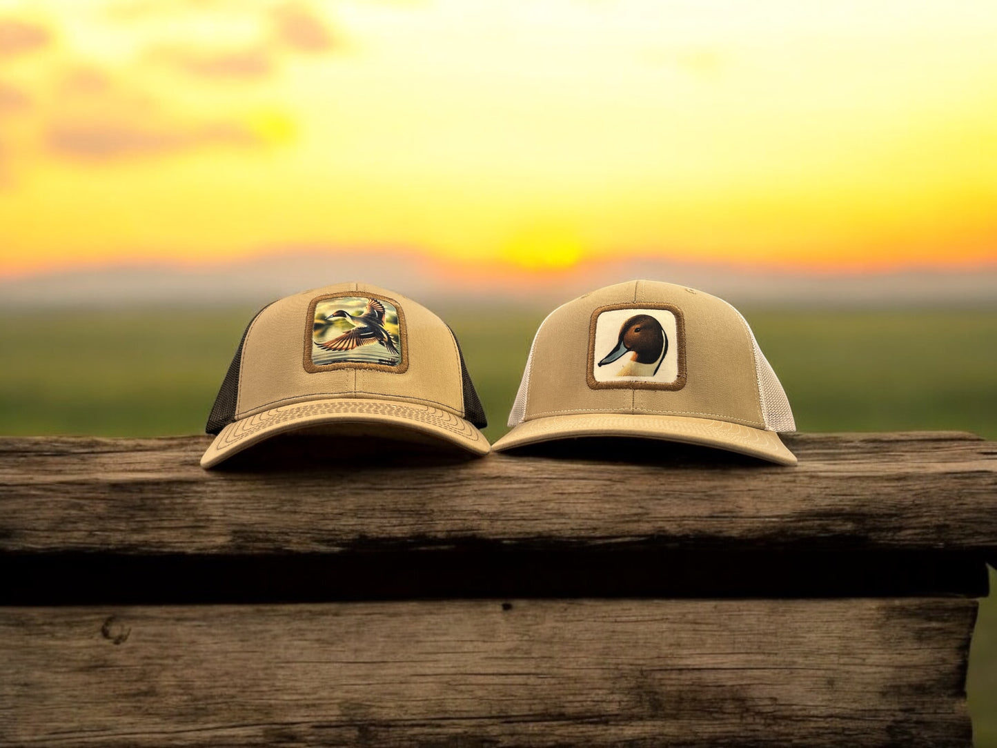 Pintail Pitch Patch Hat