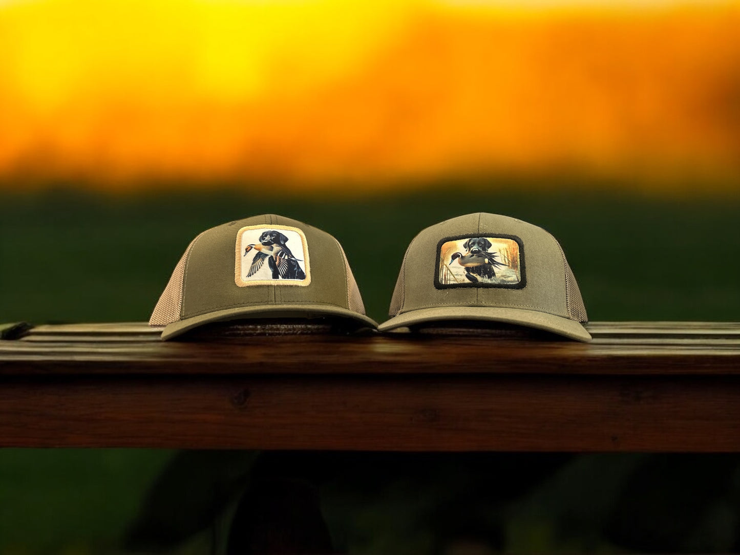 Labrador Retreiving Pintail Patch Hat (white bg)