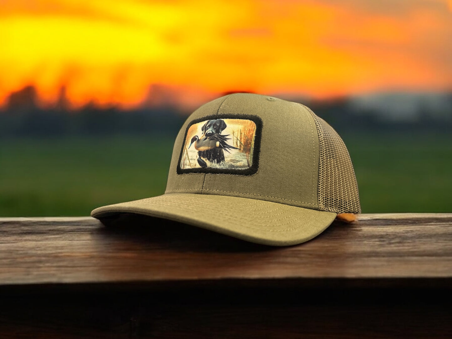 Labrador Retreiving Pintail Patch Hat