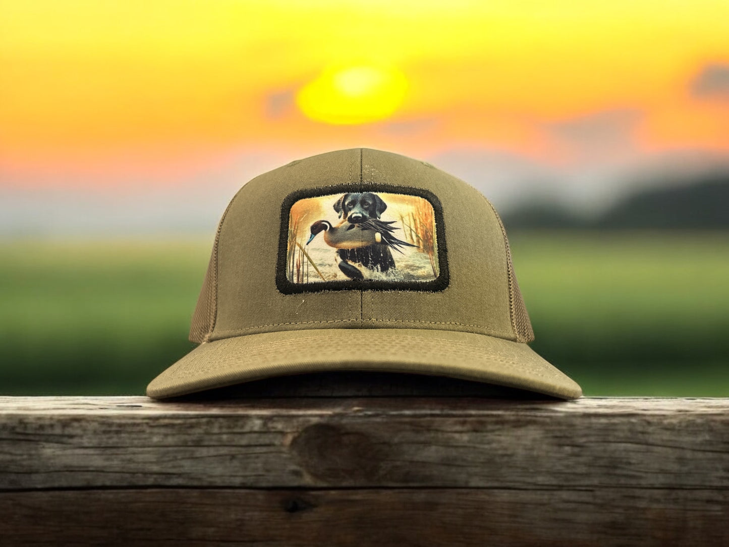 Labrador Retreiving Pintail Patch Hat