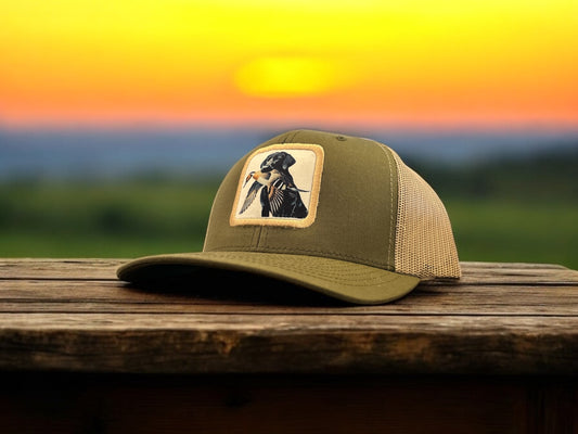 Labrador Retreiving Pintail Patch Hat (white bg)