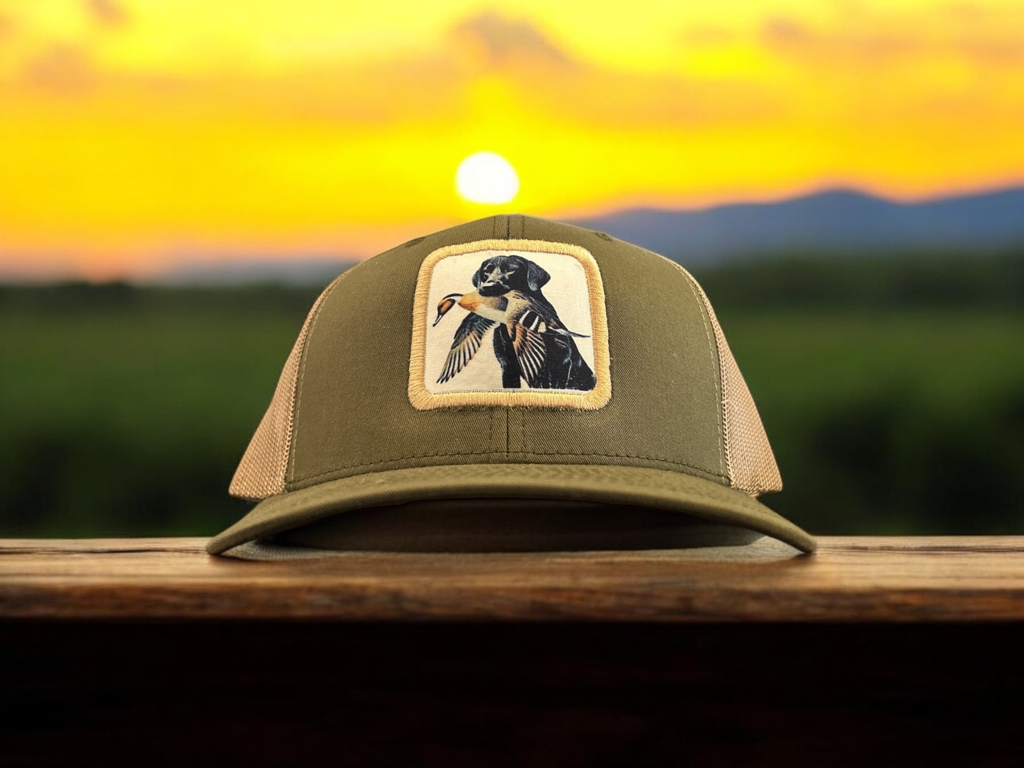 Labrador Retreiving Pintail Patch Hat (white bg)