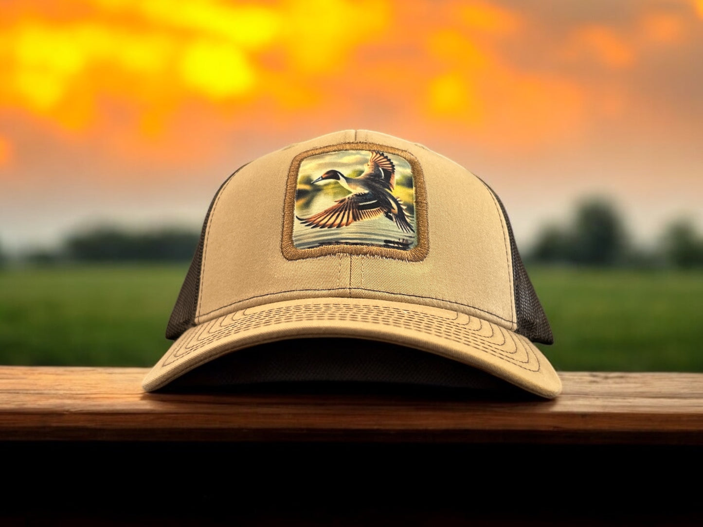 Pintail Pitch Patch Hat