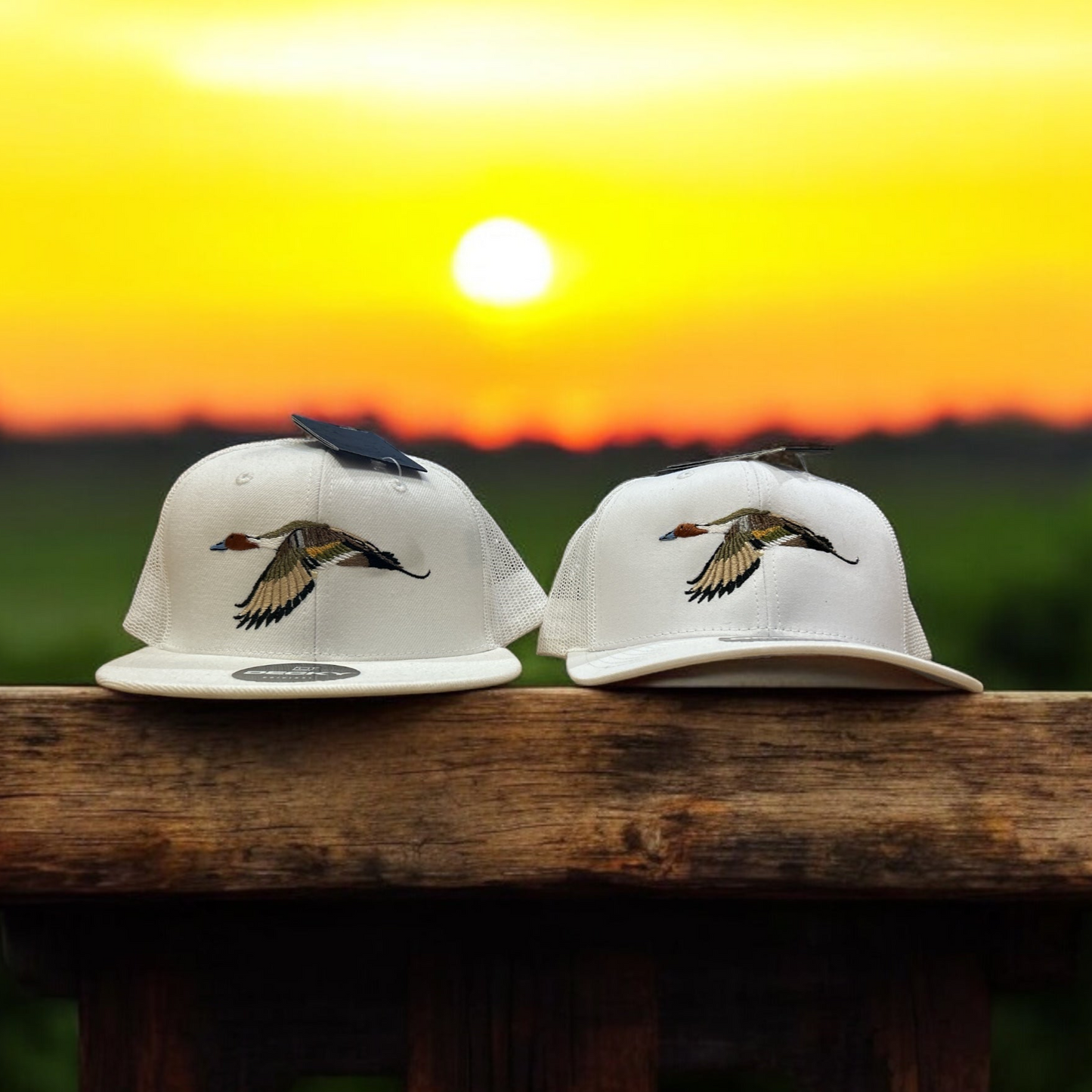 Pintail Flight SnapBack Hat